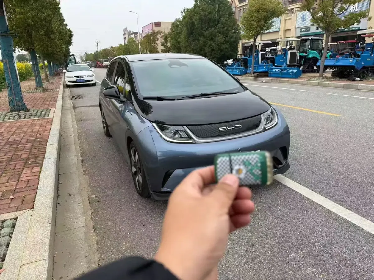 2023 BYD Dolphin BEV 44.928KWH,autocango,china used car exporter,china ev exporter,chinese used car exporter,chinese used ev exporter