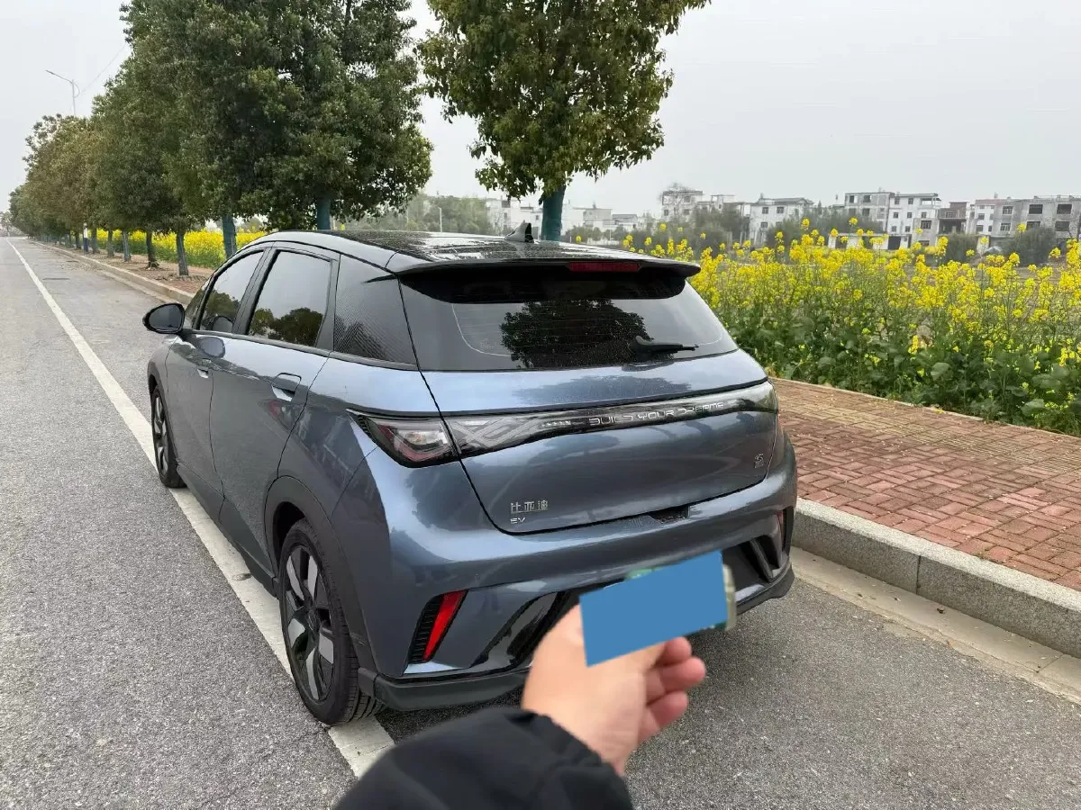 2023 BYD Dolphin BEV 44.928KWH,autocango,china used car exporter,china ev exporter,chinese used car exporter,chinese used ev exporter