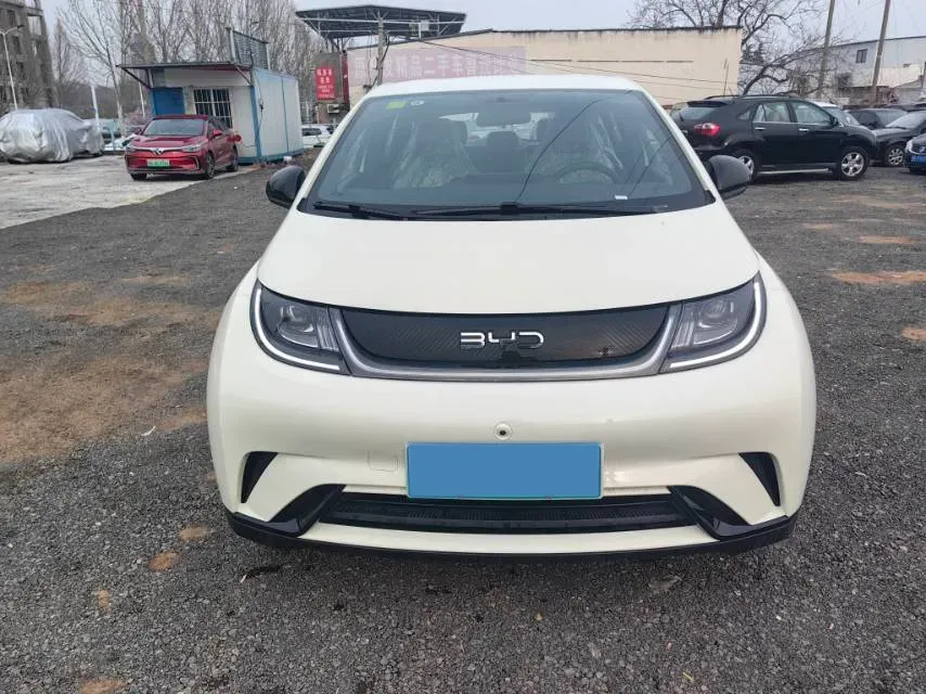 2025 BYD Dolphin BEV 44.928KWH,autocango,china used car exporter,china ev exporter,chinese used car exporter,chinese used ev exporter