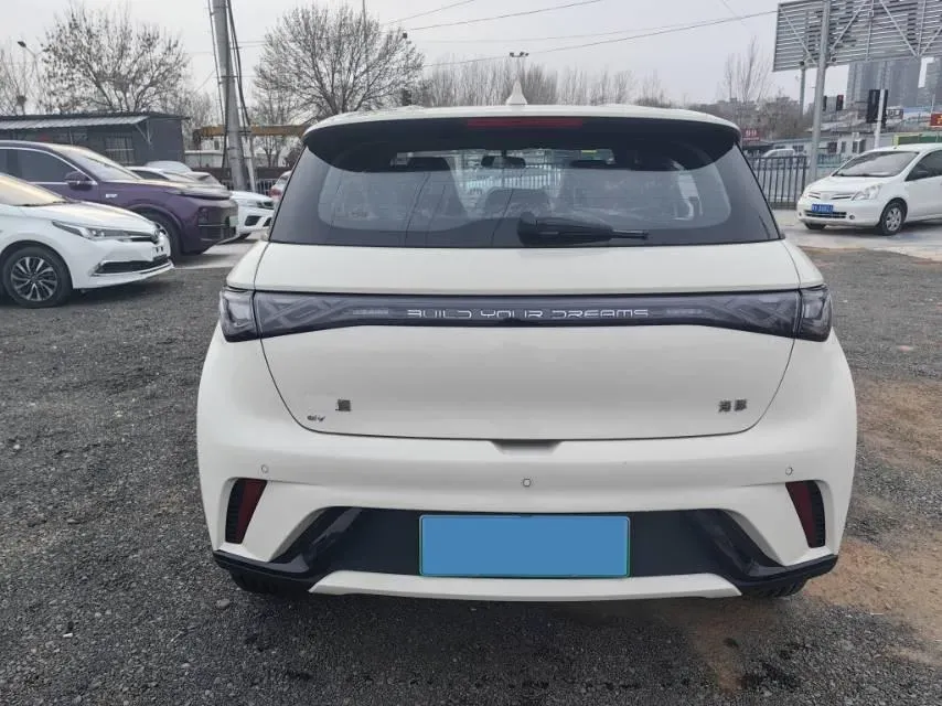2025 BYD Dolphin BEV 44.928KWH,autocango,china used car exporter,china ev exporter,chinese used car exporter,chinese used ev exporter