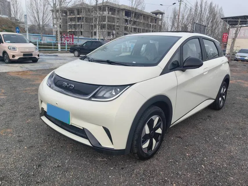 2025 BYD Dolphin BEV 44.928KWH,autocango,china used car exporter,china ev exporter,chinese used car exporter,chinese used ev exporter