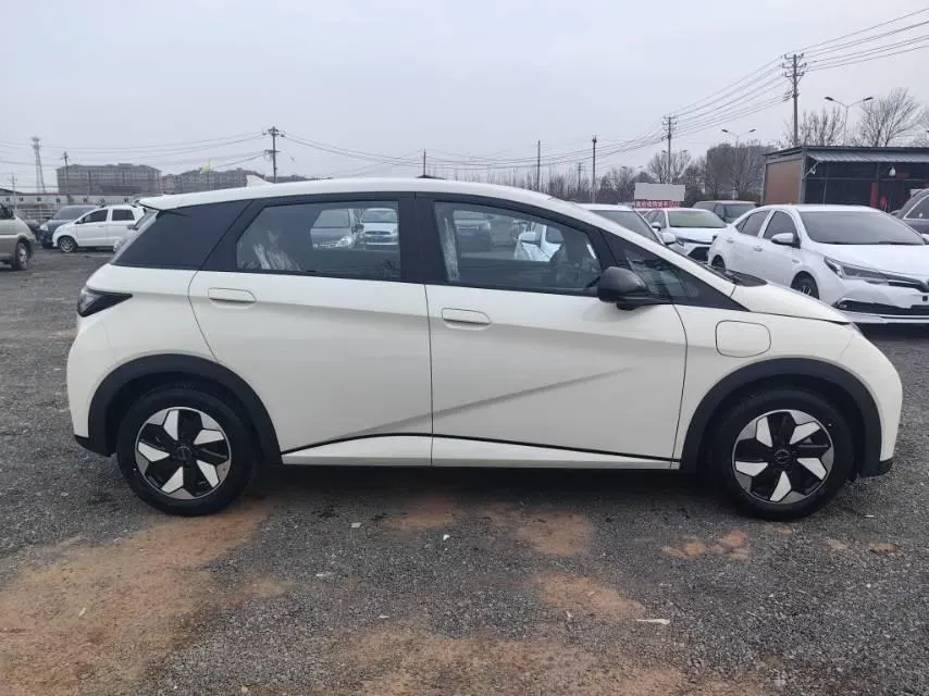 2025 BYD Dolphin BEV 44.928KWH,autocango,china used car exporter,china ev exporter,chinese used car exporter,chinese used ev exporter