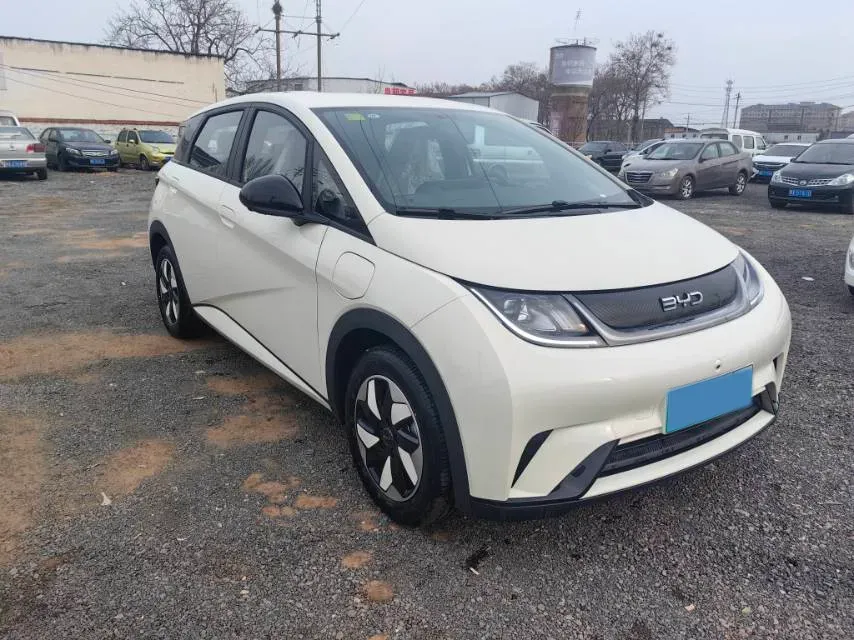 2025 BYD Dolphin BEV 44.928KWH,autocango,china used car exporter,china ev exporter,chinese used car exporter,chinese used ev exporter
