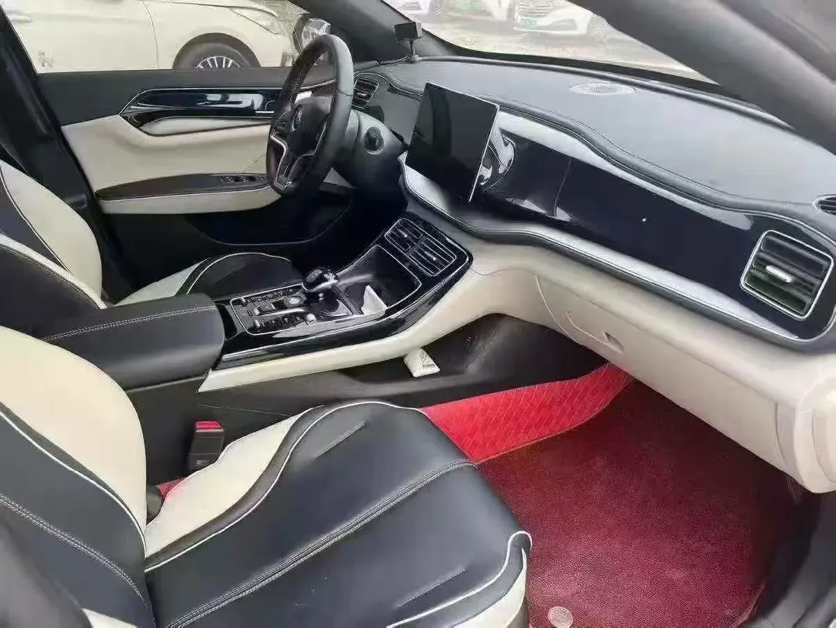 2019 BYD Qin Pro BEV 69.5KWH,autocango,china used car exporter,china ev exporter,chinese used car exporter,chinese used ev exporter