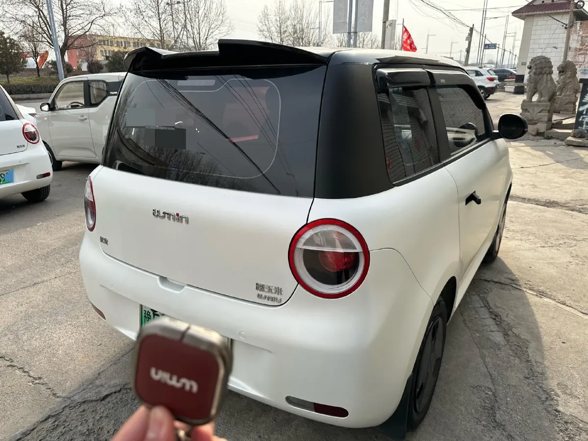 2022 Levdeo Mango BEV 17.28KWH,autocango,china used car exporter,china ev exporter,chinese used car exporter,chinese used ev exporter