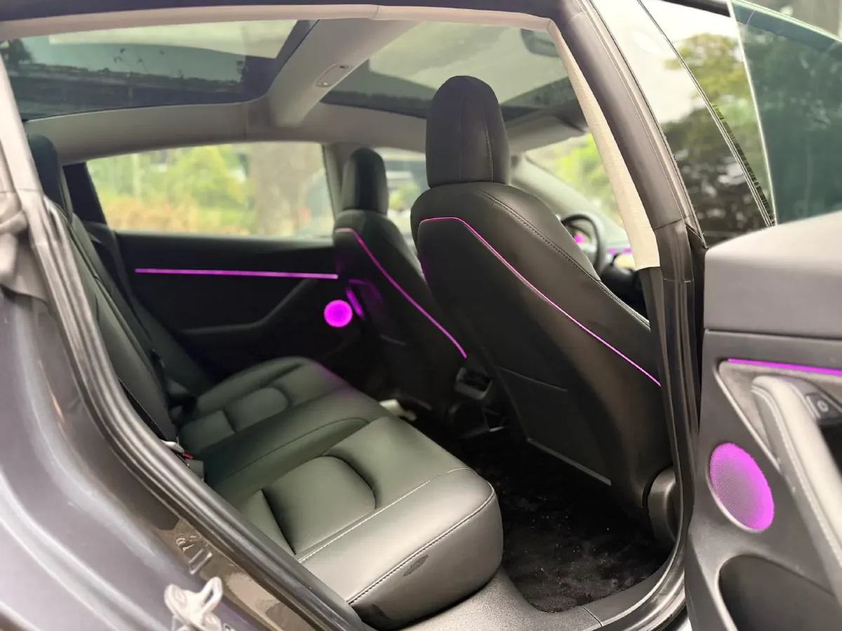 2021 Tesla Model 3 BEV 55KWH,autocango,china used car exporter,china ev exporter,chinese used car exporter,chinese used ev exporter