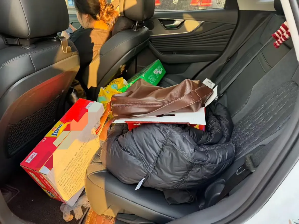 2023 HongQi HS5 2.0T 252HP L4 8AT,autocango,china used car exporter,china ev exporter,chinese used car exporter,chinese used ev exporter