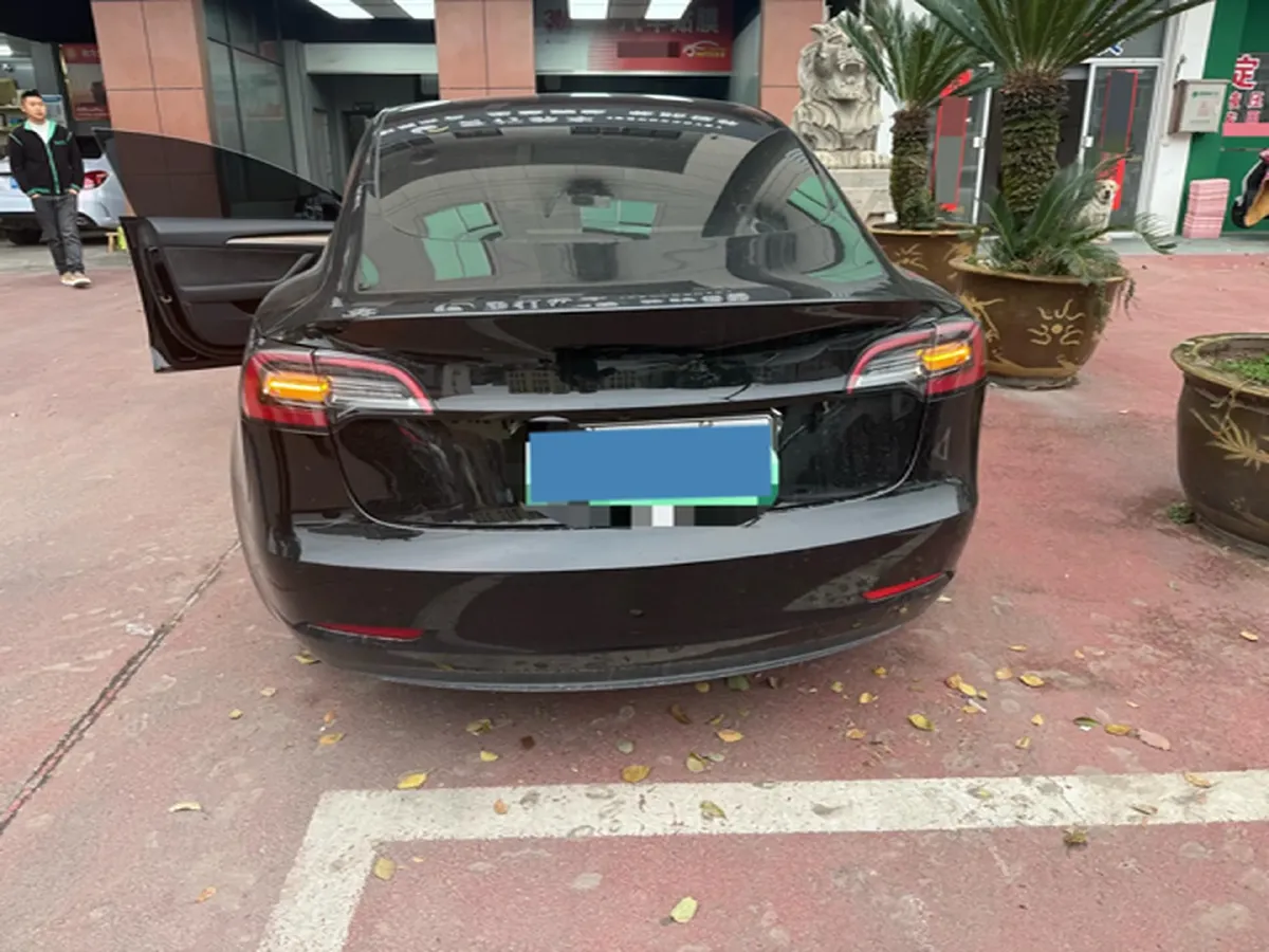 2021 Tesla Model 3 BEV 55KWH,autocango,china used car exporter,china ev exporter,chinese used car exporter,chinese used ev exporter