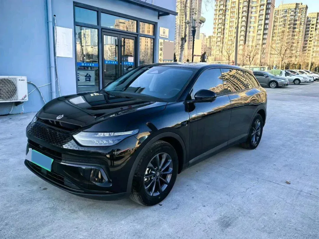2023 Leapmotor C11 Range Extended 131HP REEV 43.74KWH,autocango,china used car exporter,china ev exporter,chinese used car exporter,chinese used ev exporter