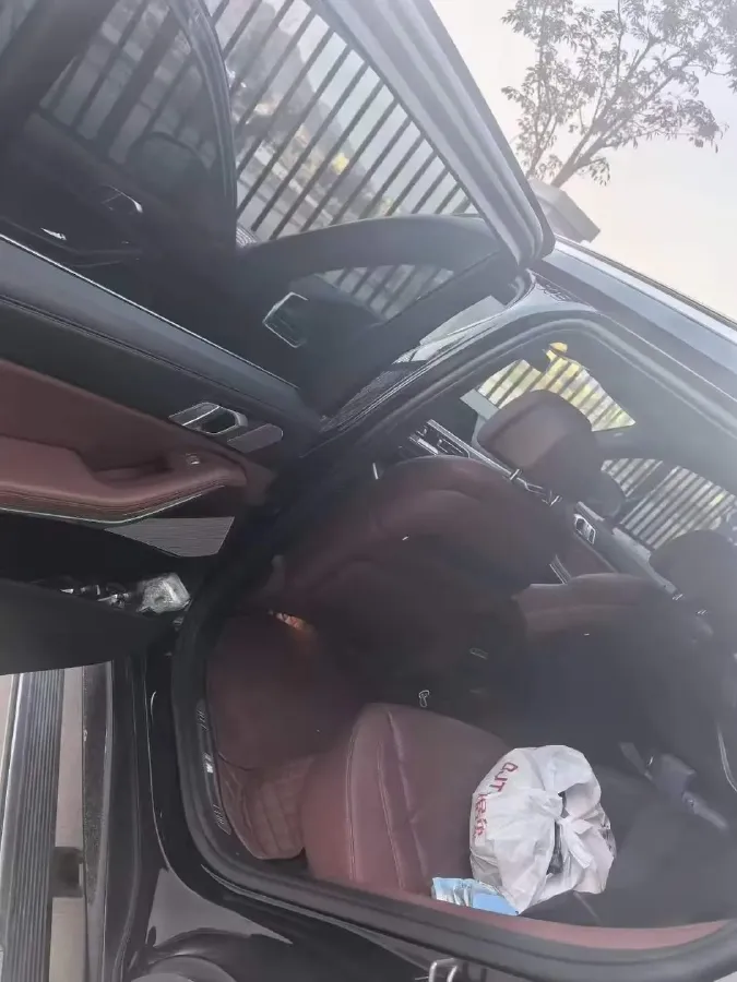 2022 BMW X5 3.0T 333HP L6 8AT,autocango,china used car exporter,china ev exporter,chinese used car exporter,chinese used ev exporter