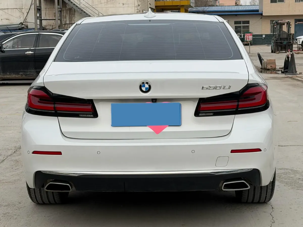 2021 BMW 5 Series 2.0T 252HP L4 8AT,autocango,china used car exporter,china ev exporter,chinese used car exporter,chinese used ev exporter