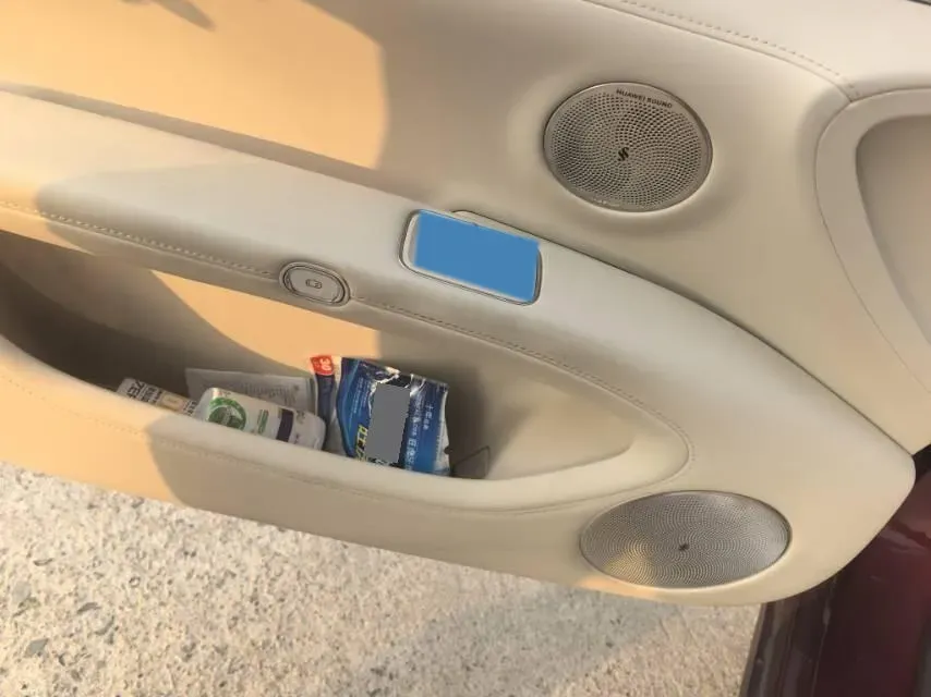 2024 HIMA Stelato S9 BEV 100KWH,autocango,china used car exporter,china ev exporter,chinese used car exporter,chinese used ev exporter