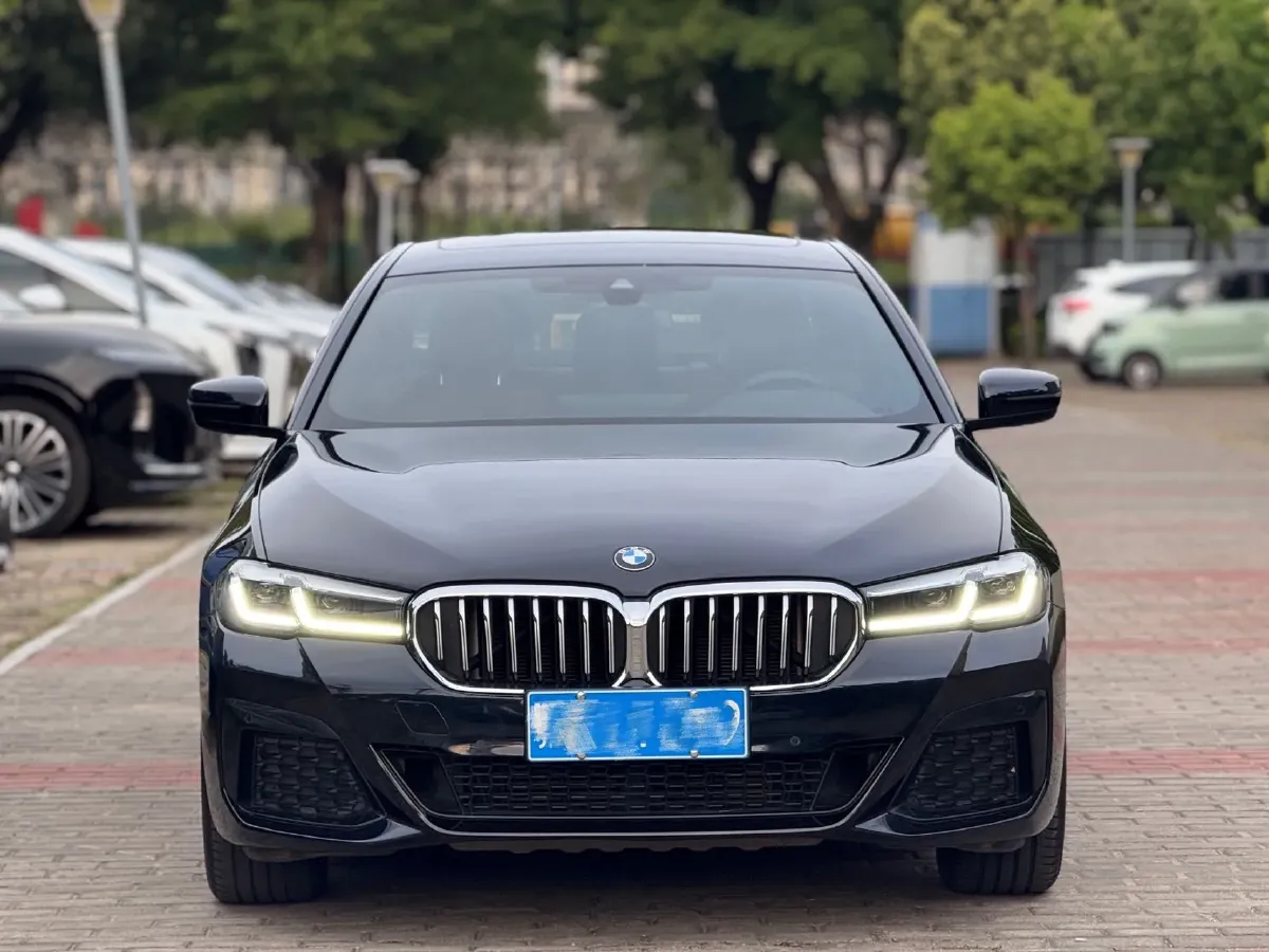 2021 BMW 5 Series 2.0T 184HP L4 8AT,autocango,china used car exporter,china ev exporter,chinese used car exporter,chinese used ev exporter