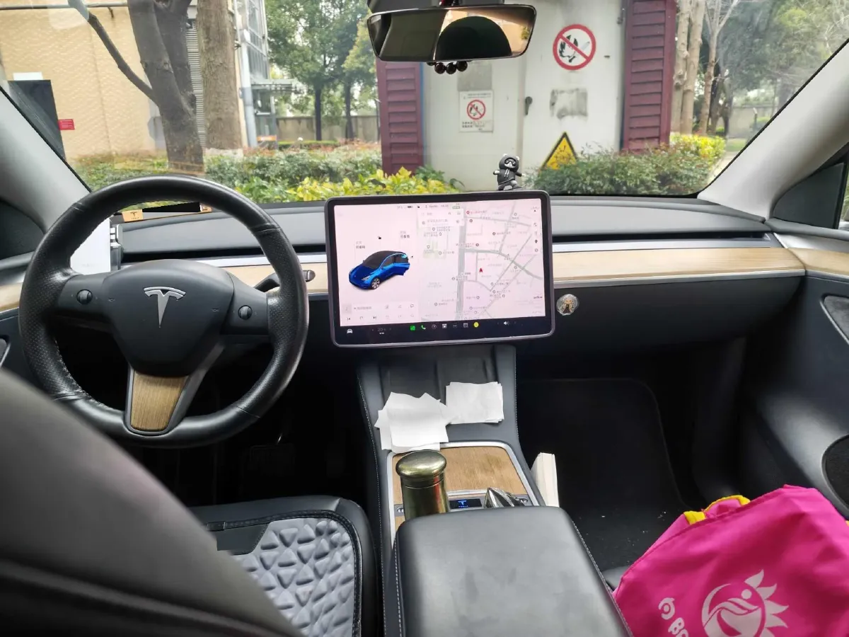 2021 Tesla Model Y BEV 60KWH,autocango,china used car exporter,china ev exporter,chinese used car exporter,chinese used ev exporter