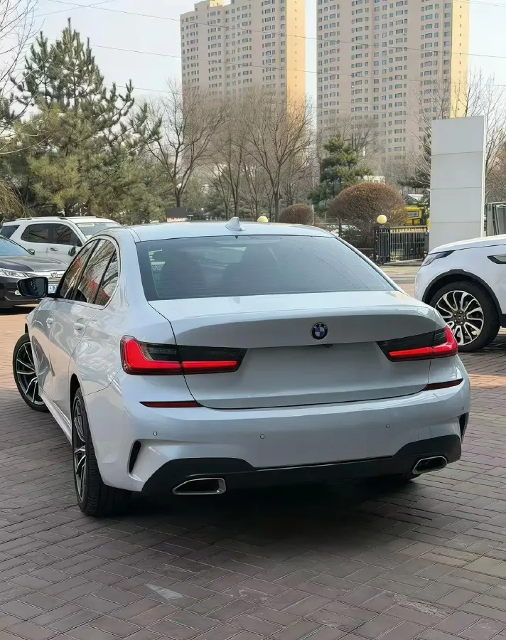 2021 BMW 3 Series 2.0T 156HP L4 8AT,autocango,china used car exporter,china ev exporter,chinese used car exporter,chinese used ev exporter