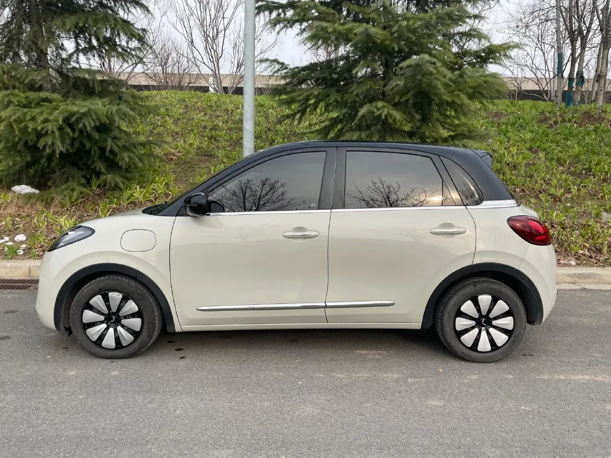 2023 WuLing BinGuo BEV 31.9KWH,autocango,china used car exporter,china ev exporter,chinese used car exporter,chinese used ev exporter