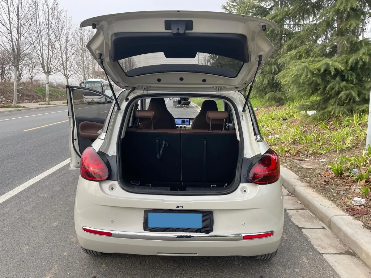 2023 WuLing BinGuo BEV 31.9KWH,autocango,china used car exporter,china ev exporter,chinese used car exporter,chinese used ev exporter