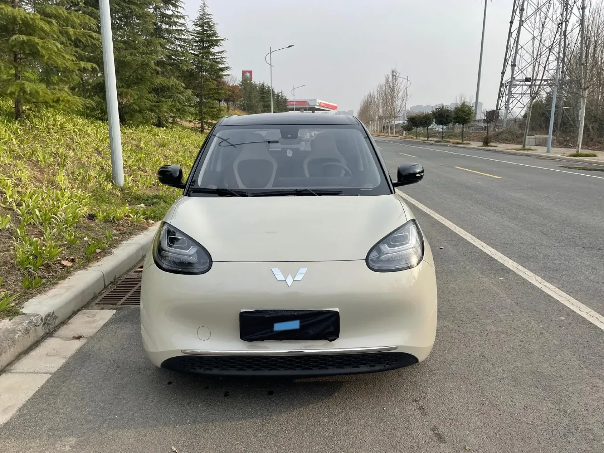 2023 WuLing BinGuo BEV 31.9KWH,autocango,china used car exporter,china ev exporter,chinese used car exporter,chinese used ev exporter