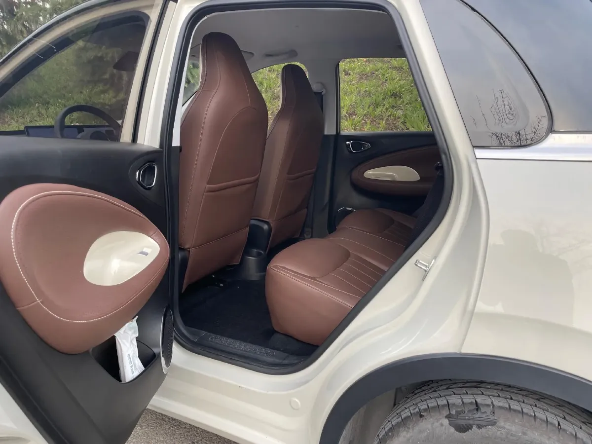 2023 WuLing BinGuo BEV 31.9KWH,autocango,china used car exporter,china ev exporter,chinese used car exporter,chinese used ev exporter