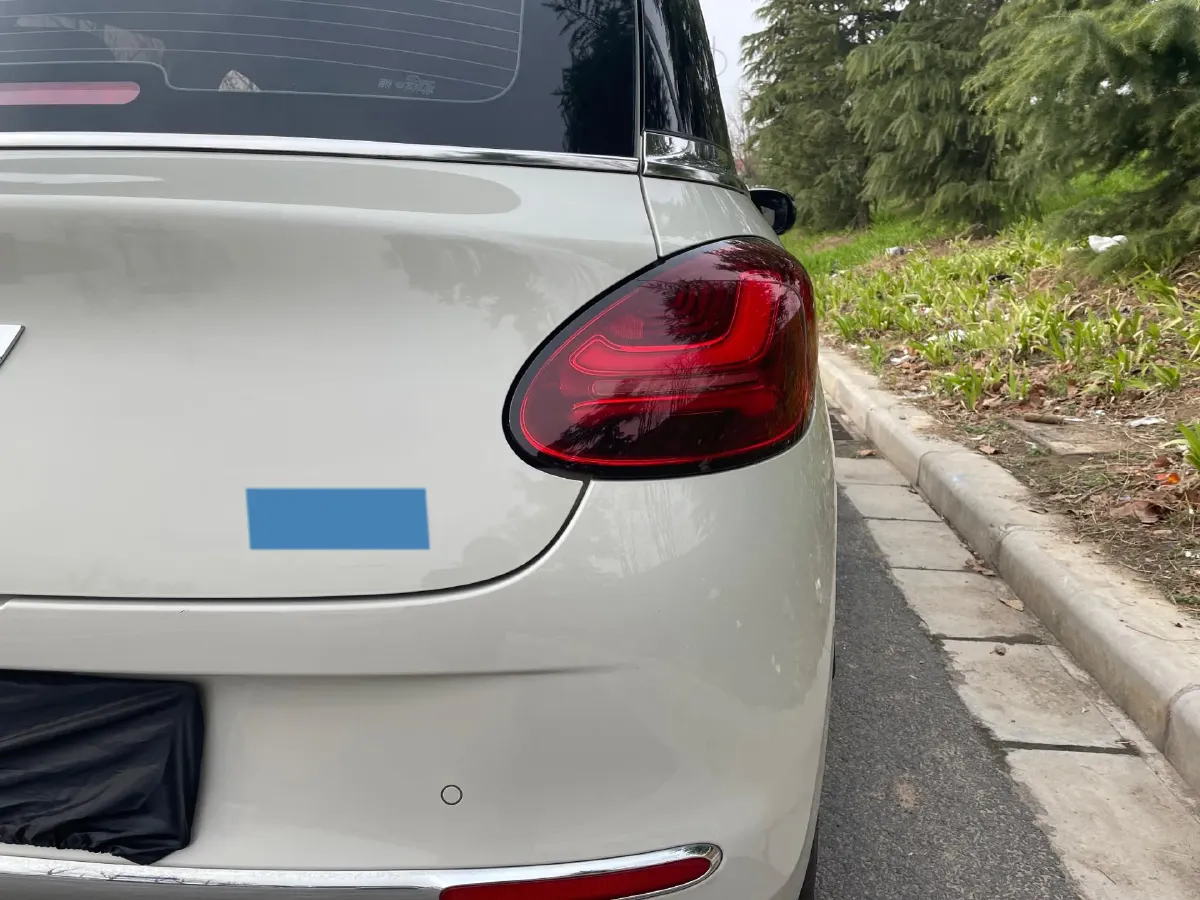 2023 WuLing BinGuo BEV 31.9KWH,autocango,china used car exporter,china ev exporter,chinese used car exporter,chinese used ev exporter