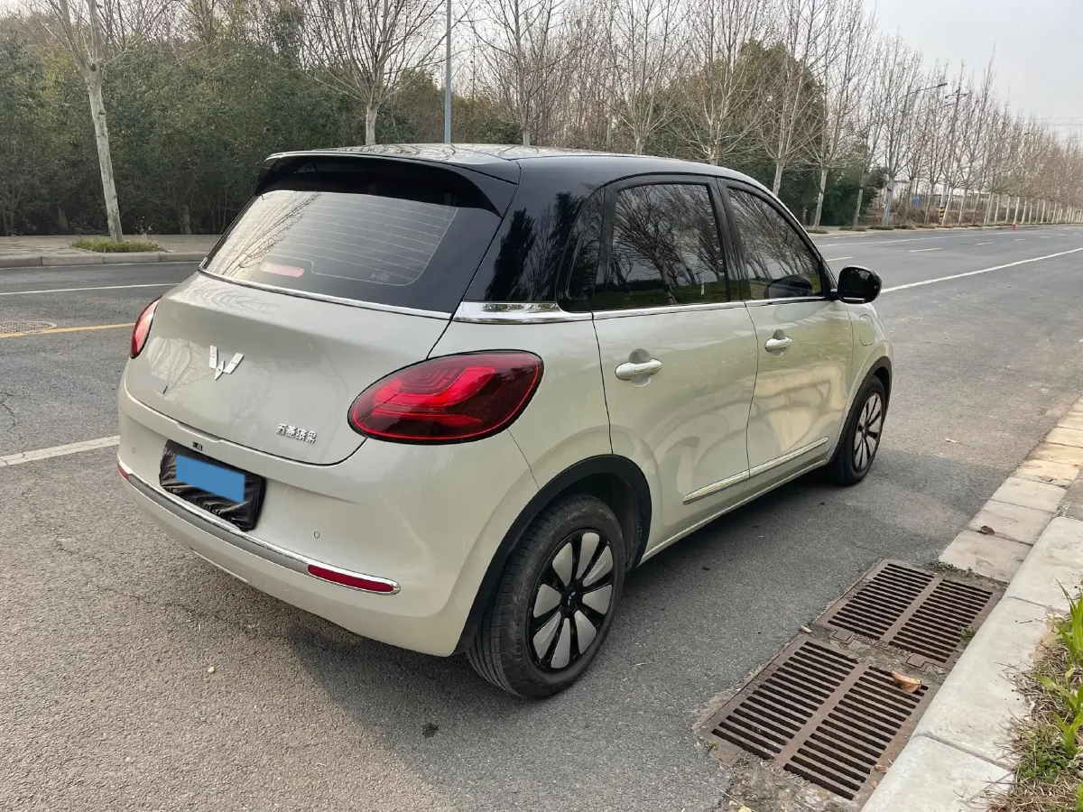 2023 WuLing BinGuo BEV 31.9KWH,autocango,china used car exporter,china ev exporter,chinese used car exporter,chinese used ev exporter