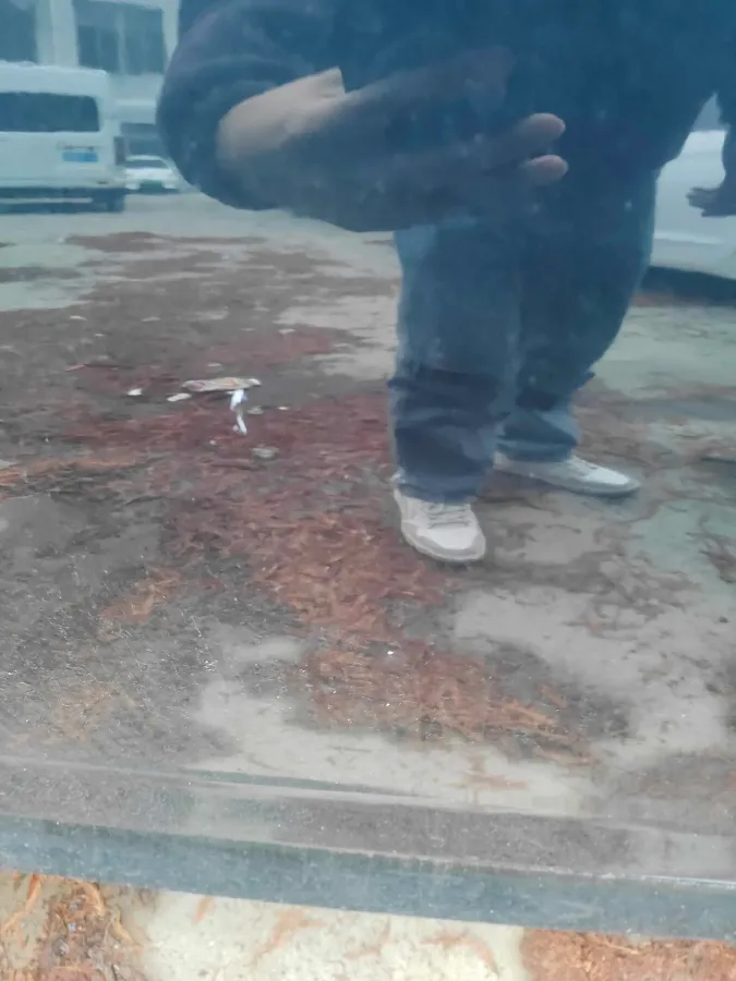 2022 BMW 5 Series 2.0T 252HP L4 8AT,autocango,china used car exporter,china ev exporter,chinese used car exporter,chinese used ev exporter