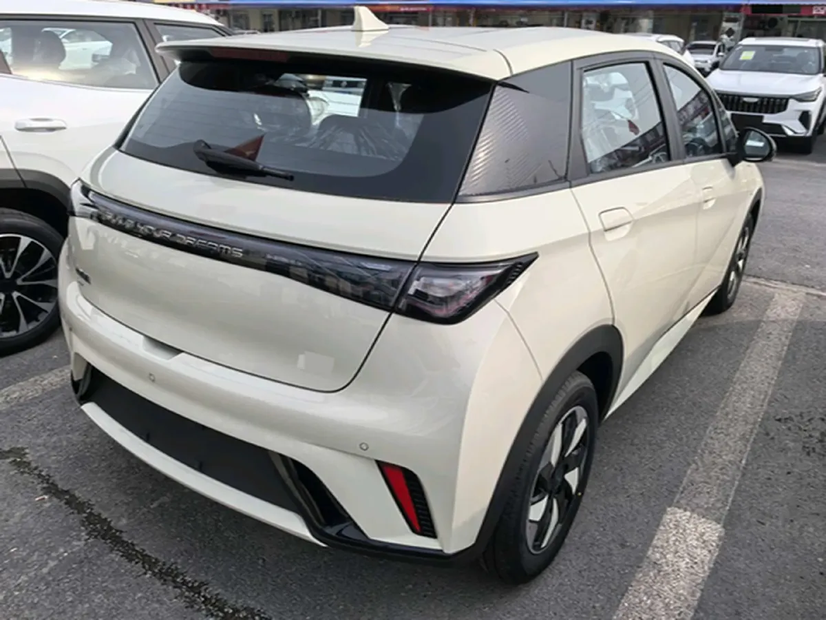 2025 BYD Dolphin BEV 44.928KWH,autocango,china used car exporter,china ev exporter,chinese used car exporter,chinese used ev exporter