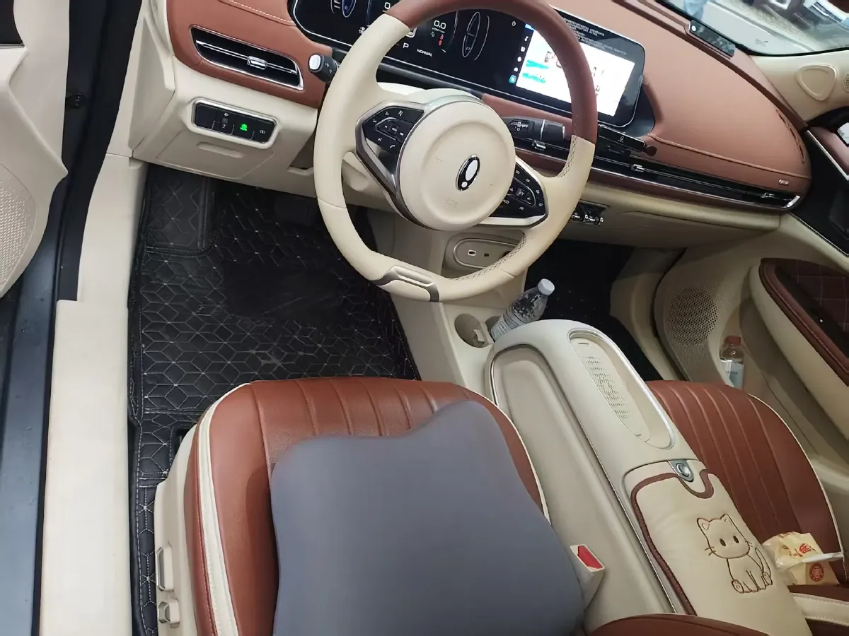 2024 Ora FunkyCat BEV 47.8KWH,autocango,china used car exporter,china ev exporter,chinese used car exporter,chinese used ev exporter