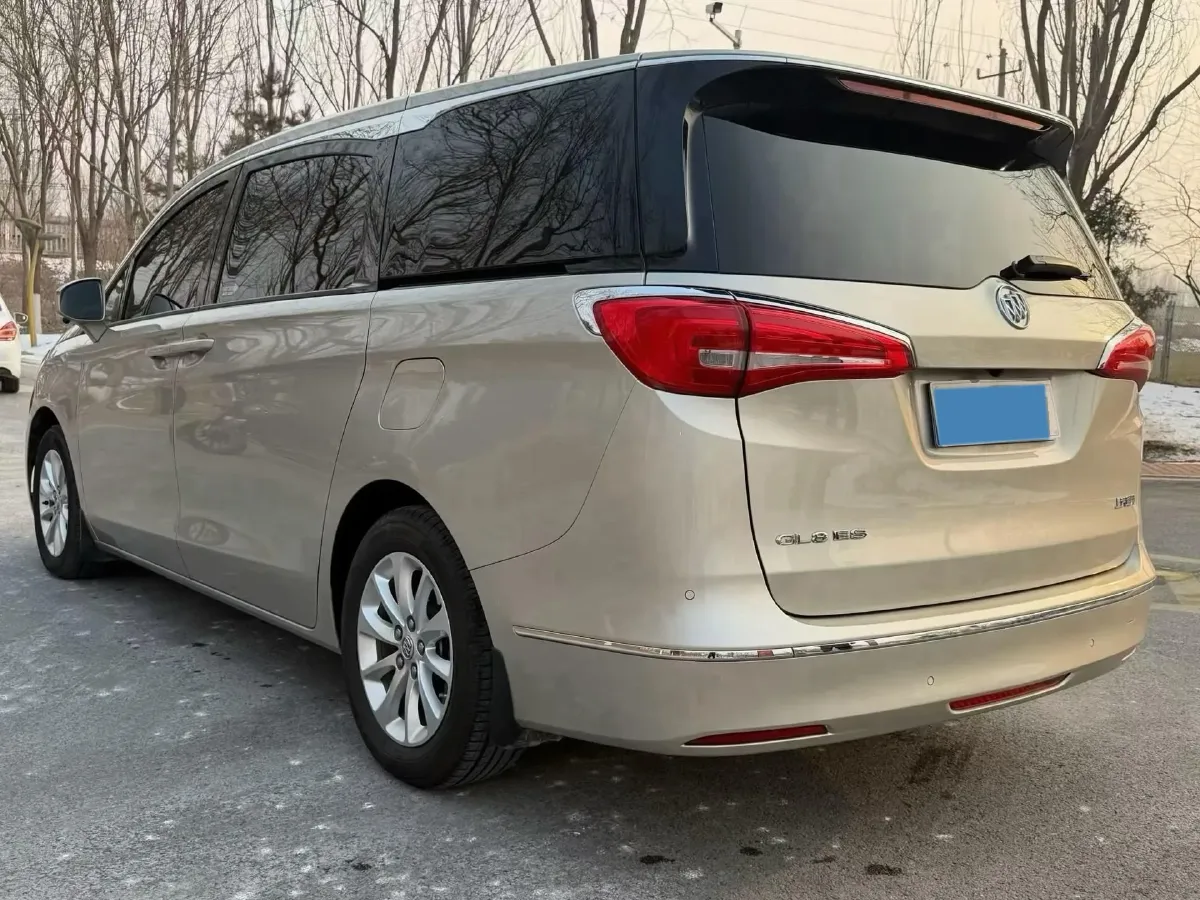 2018 Buick GL8 2.0T 260HP L4 6AT,autocango,china used car exporter,china ev exporter,chinese used car exporter,chinese used ev exporter