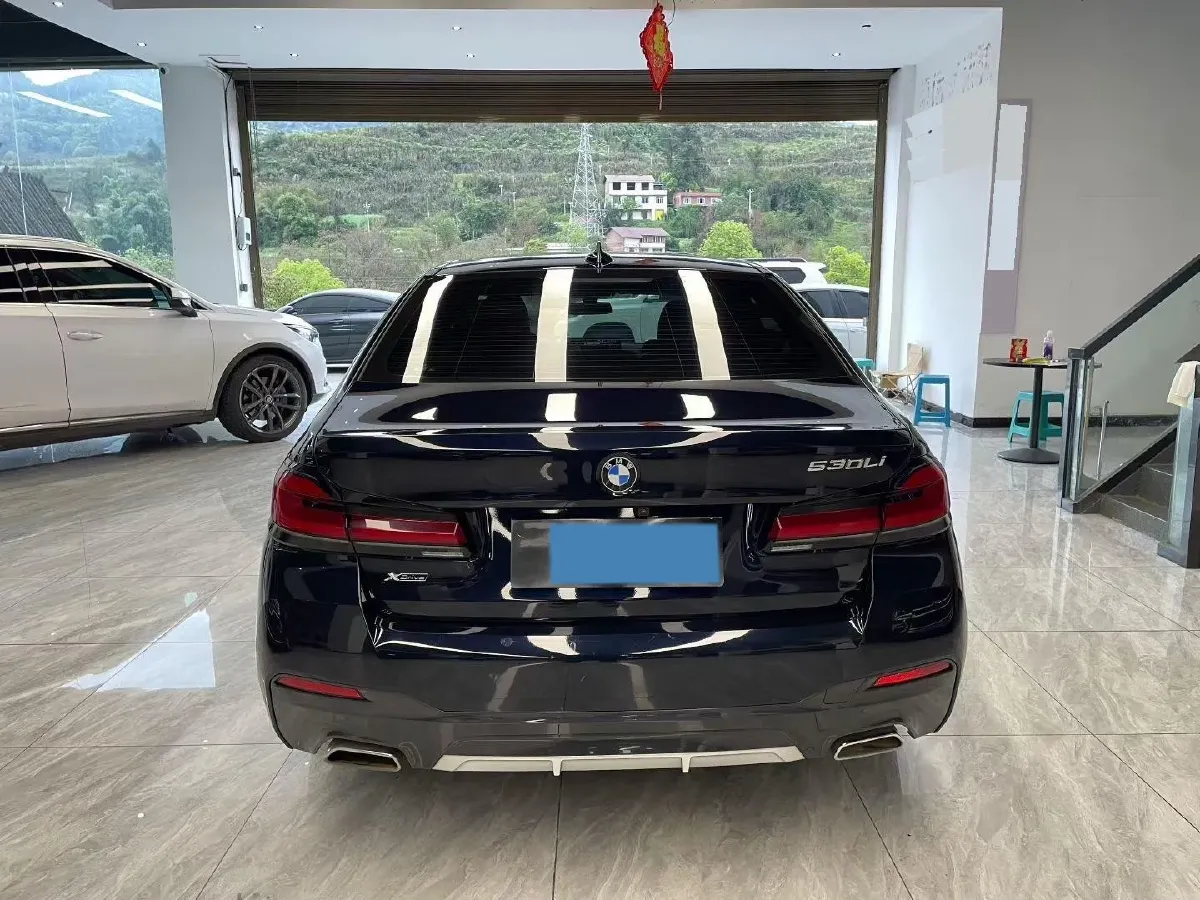 2022 BMW 5 Series 2.0T 245HP L4 8AT,autocango,china used car exporter,china ev exporter,chinese used car exporter,chinese used ev exporter