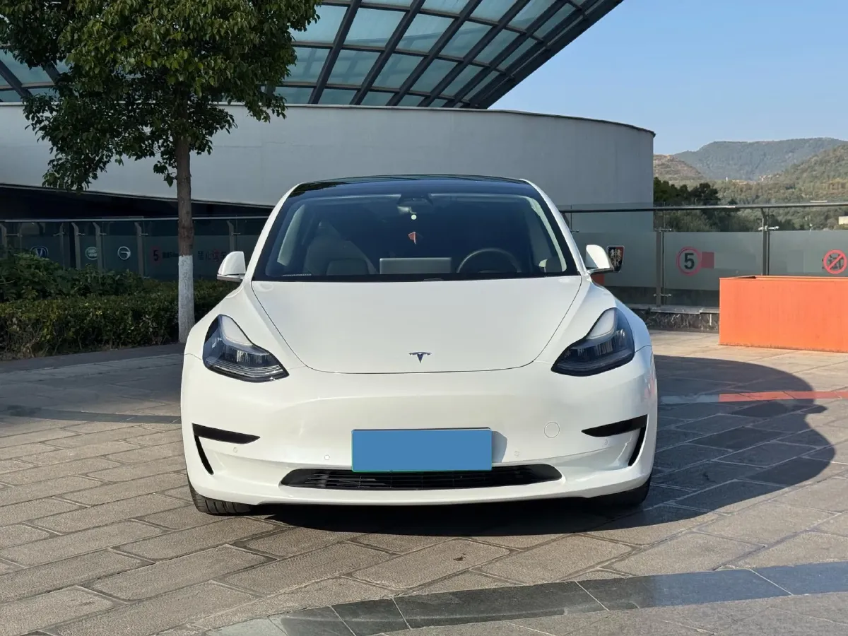 2020 Tesla Model 3 BEV 76.8KWH,autocango,china used car exporter,china ev exporter,chinese used car exporter,chinese used ev exporter