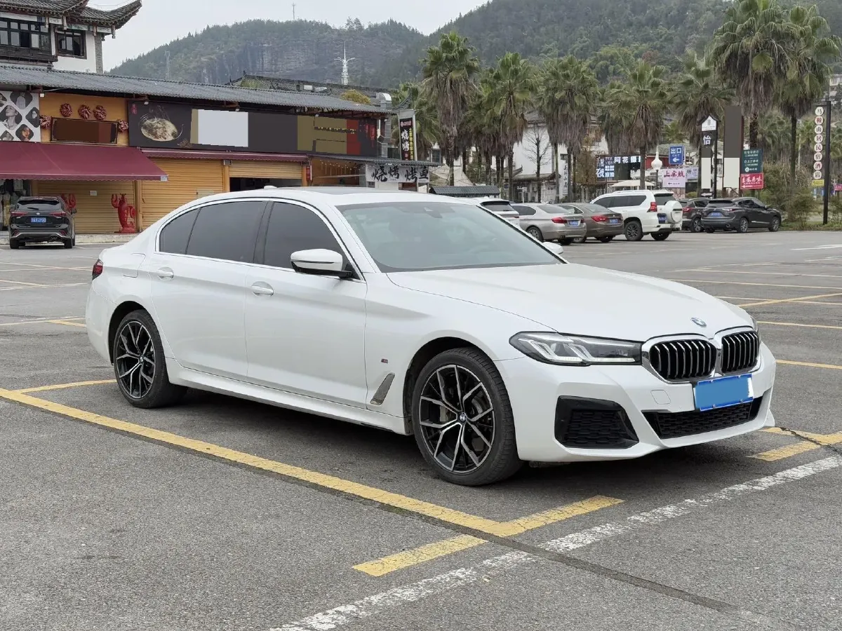 2023 BMW 5 Series 2.0T 245HP L4 8AT,autocango,china used car exporter,china ev exporter,chinese used car exporter,chinese used ev exporter