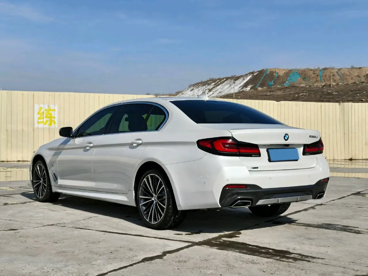 2022 BMW 5 Series 2.0T 245HP L4 8AT,autocango,china used car exporter,china ev exporter,chinese used car exporter,chinese used ev exporter