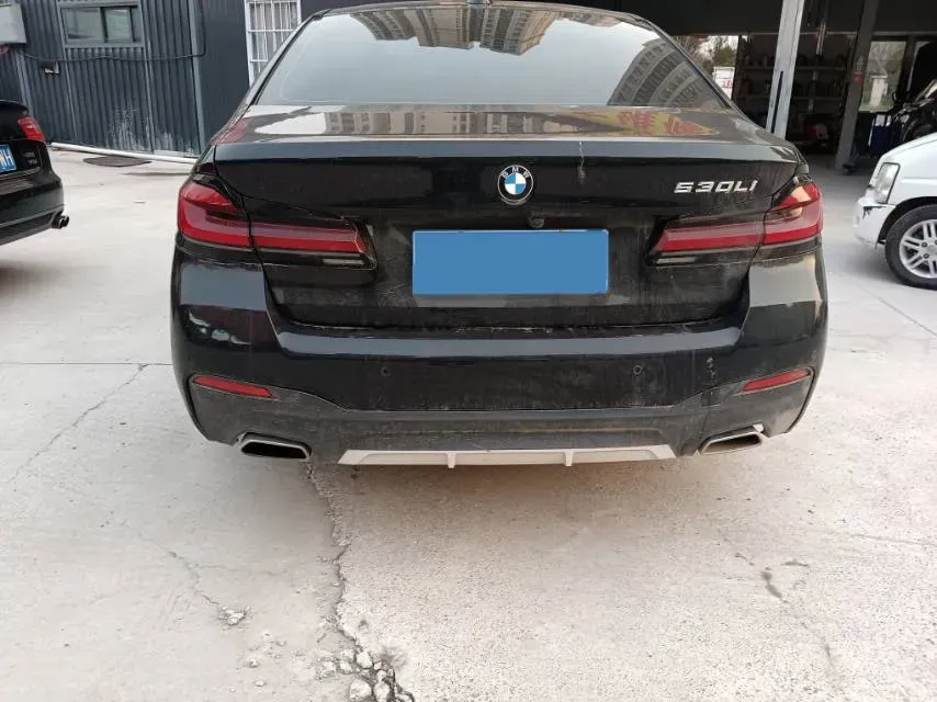 2020 BMW 5 Series 2.0T 252HP L4 8AT,autocango,china used car exporter,china ev exporter,chinese used car exporter,chinese used ev exporter