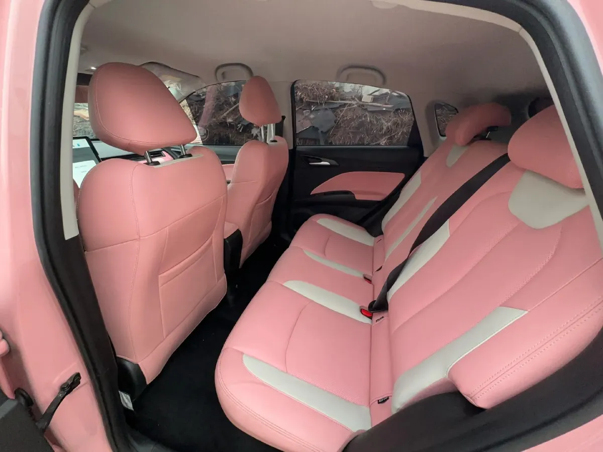 2021 Chery Little Ant BEV 30.6KWH,autocango,china used car exporter,china ev exporter,chinese used car exporter,chinese used ev exporter