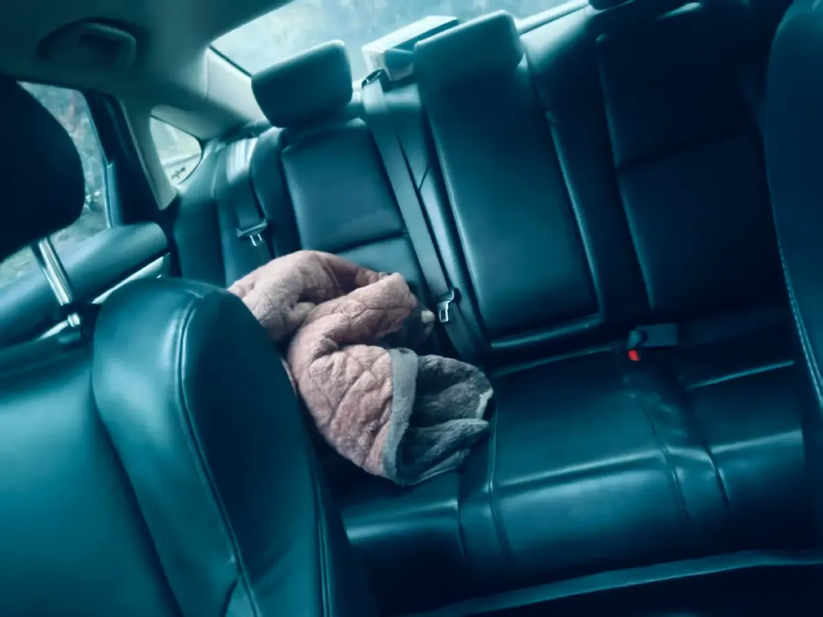 2021 Honda Accord 1.5T 194HP L4 CVT,autocango,china used car exporter,china ev exporter,chinese used car exporter,chinese used ev exporter