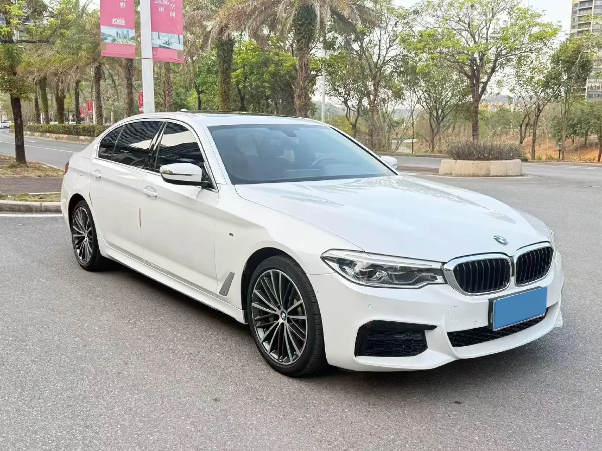 2020 BMW 5 Series 2.0T 252HP L4 8AT,autocango,china used car exporter,china ev exporter,chinese used car exporter,chinese used ev exporter