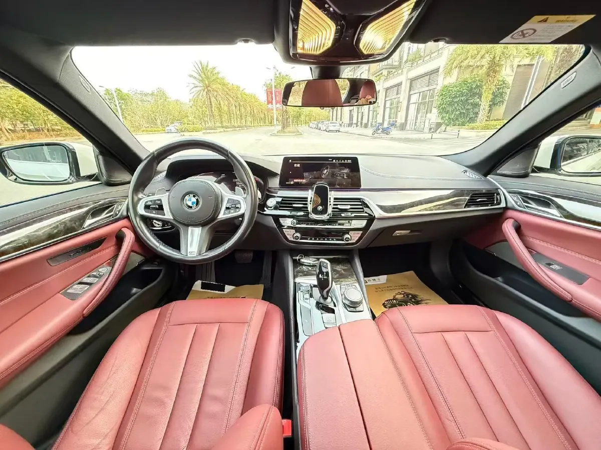 2020 BMW 5 Series 2.0T 252HP L4 8AT,autocango,china used car exporter,china ev exporter,chinese used car exporter,chinese used ev exporter