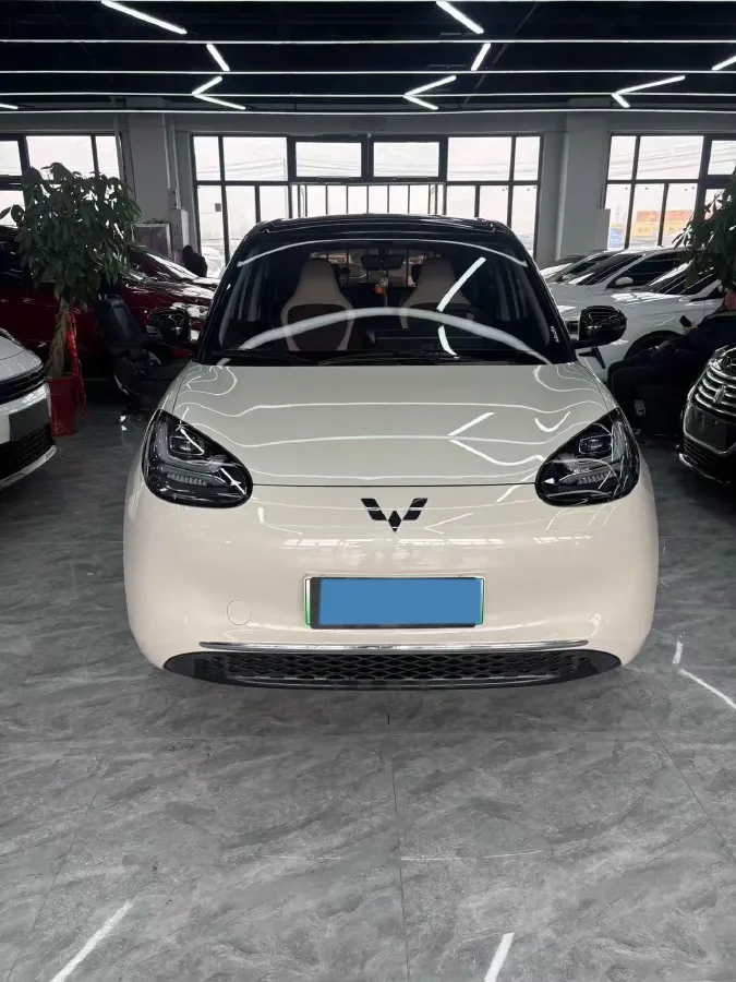 2023 WuLing BinGuo BEV 31.9KWH,autocango,china used car exporter,china ev exporter,chinese used car exporter,chinese used ev exporter