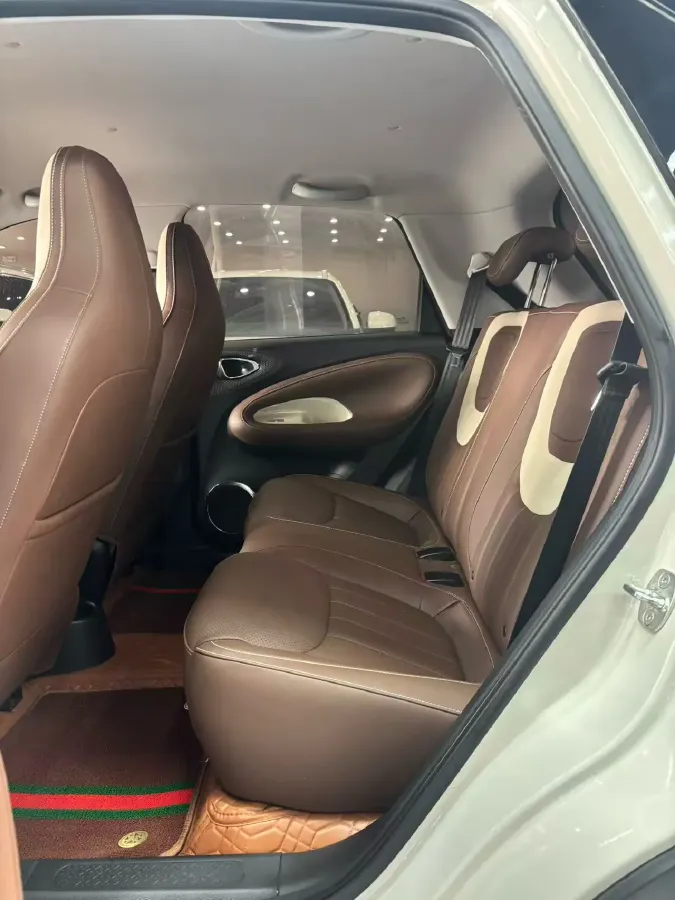 2023 WuLing BinGuo BEV 31.9KWH,autocango,china used car exporter,china ev exporter,chinese used car exporter,chinese used ev exporter