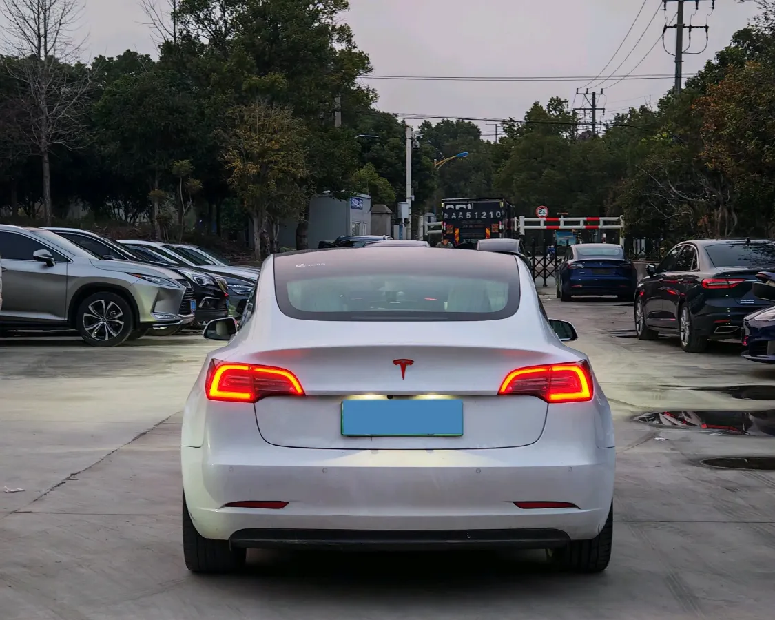 2019 Tesla Model 3 BEV 60KWH,autocango,china used car exporter,china ev exporter,chinese used car exporter,chinese used ev exporter