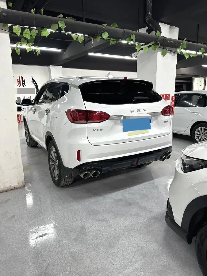 2019 WEY VV6 2.0T 224HP L4 7DCT,autocango,china used car exporter,china ev exporter,chinese used car exporter,chinese used ev exporter