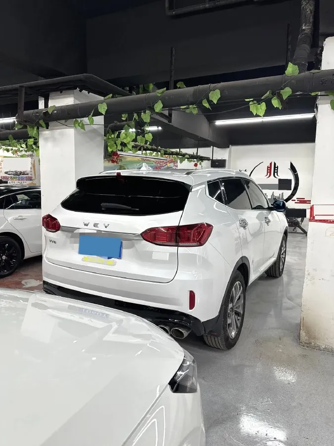 2019 WEY VV6 2.0T 224HP L4 7DCT,autocango,china used car exporter,china ev exporter,chinese used car exporter,chinese used ev exporter
