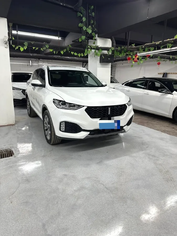 2019 WEY VV6 2.0T 224HP L4 7DCT,autocango,china used car exporter,china ev exporter,chinese used car exporter,chinese used ev exporter