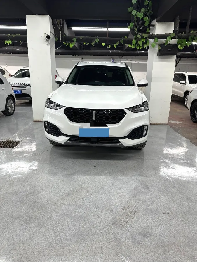 2019 WEY VV6 2.0T 224HP L4 7DCT,autocango,china used car exporter,china ev exporter,chinese used car exporter,chinese used ev exporter