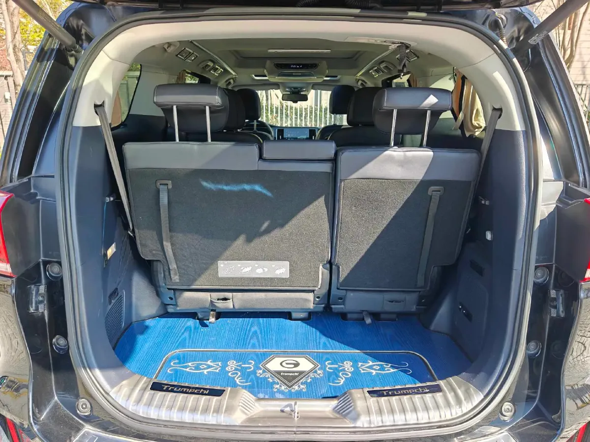 2021 GAC Trumpchi M8 2.0T 252HP L4 8AT,autocango,china used car exporter,china ev exporter,chinese used car exporter,chinese used ev exporter