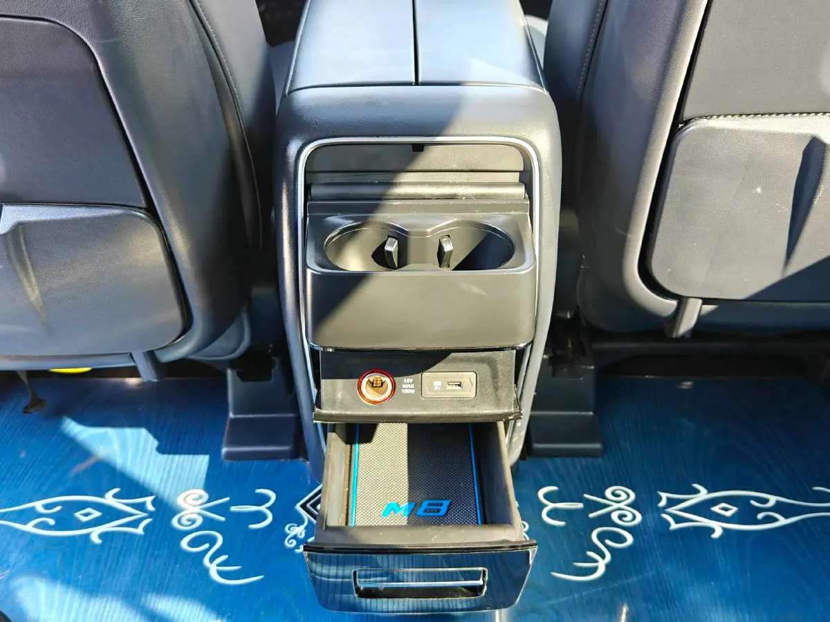 2021 GAC Trumpchi M8 2.0T 252HP L4 8AT,autocango,china used car exporter,china ev exporter,chinese used car exporter,chinese used ev exporter