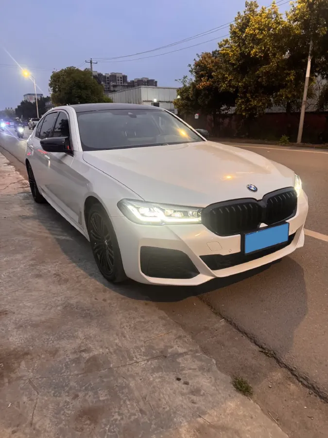 2021 BMW 5 Series 2.0T 252HP L4 8AT,autocango,china used car exporter,china ev exporter,chinese used car exporter,chinese used ev exporter
