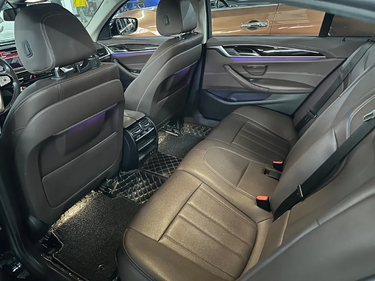 2020 BMW 5 Series 2.0T 184HP L4 8AT,autocango,china used car exporter,china ev exporter,chinese used car exporter,chinese used ev exporter