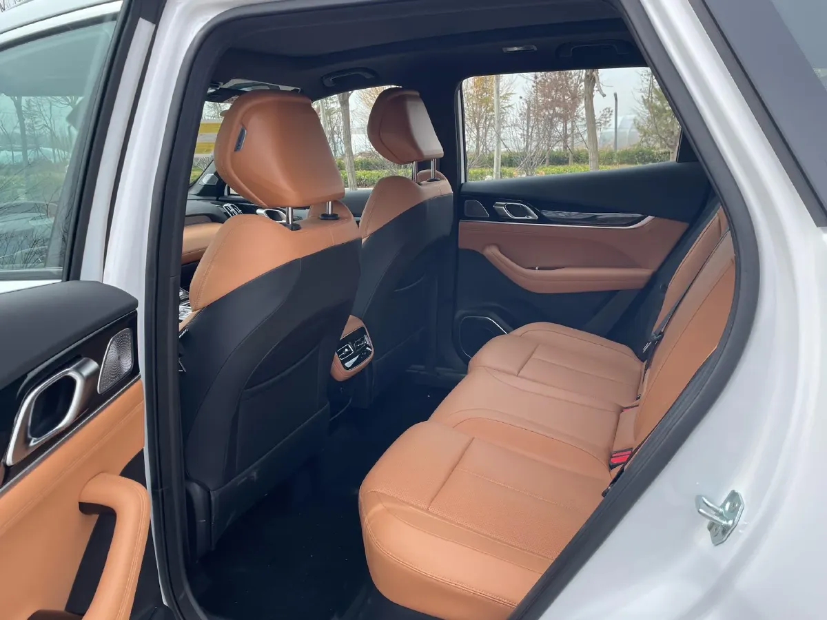 2025 Geely StarRay 1.5T 181HP L4 7DCT,autocango,china used car exporter,china ev exporter,chinese used car exporter,chinese used ev exporter